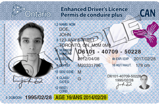 drivers-license.jpg