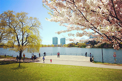 Toronto_Spring.jpg