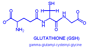 glutathione.gif