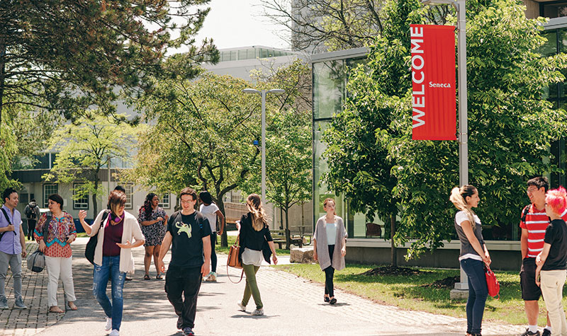 Seneca-College-Profile-Macleans.jpg