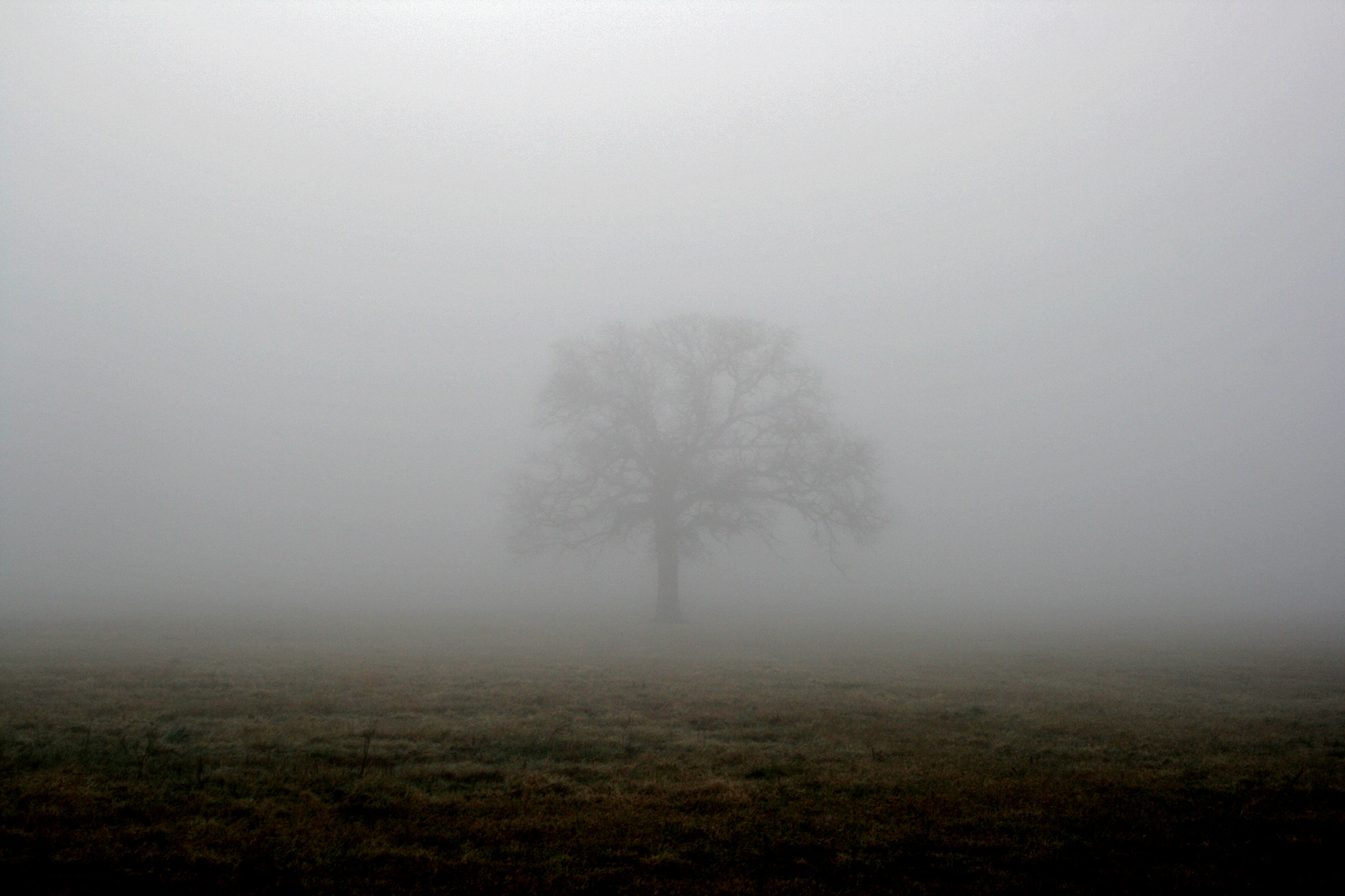 Mist.jpg