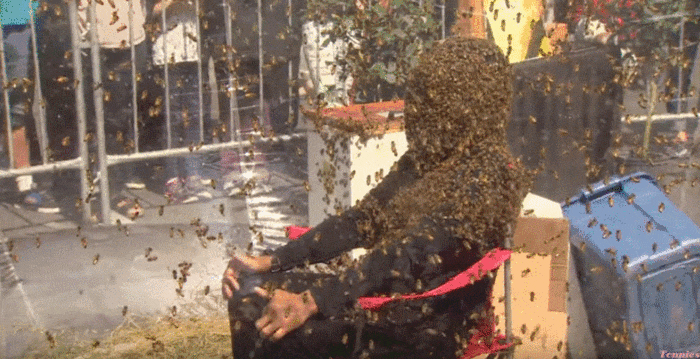 Bee_beard_world_record_set_in_Toronto_Juan_Carlos_Noguez_Ortiz_holds_the_new_world_record,_staying_still_even_though-iloveimg-compressed_(1).gif
