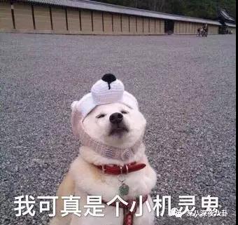 WeChat_Image_20181204113739.jpg