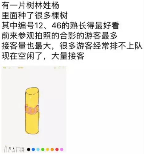 WeChat_Image_20190103112920.jpg